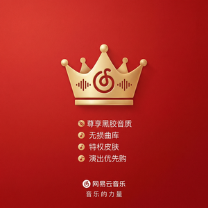 网易云音乐WiFi自动下载设置方法